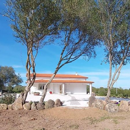 Casa Vacanze Olbia - Alebea - Zewnętrze zdjęcie