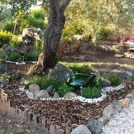 Casa Vacanze Olbia - Alebea - Zewnętrze zdjęcie