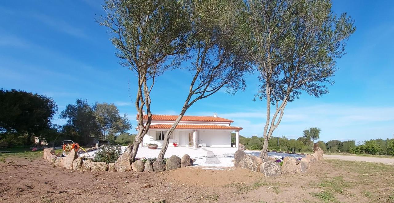 Casa Vacanze Olbia - Alebea - Zewnętrze zdjęcie