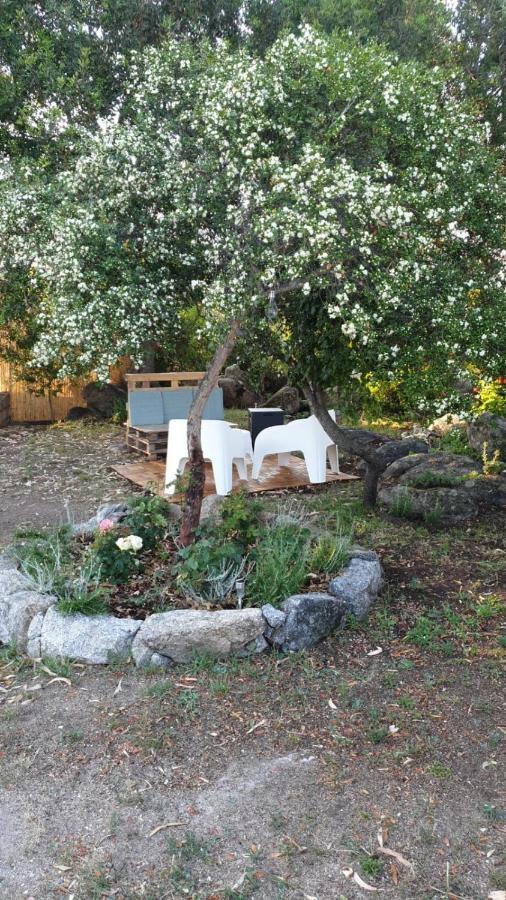 Casa Vacanze Olbia - Alebea - Zewnętrze zdjęcie