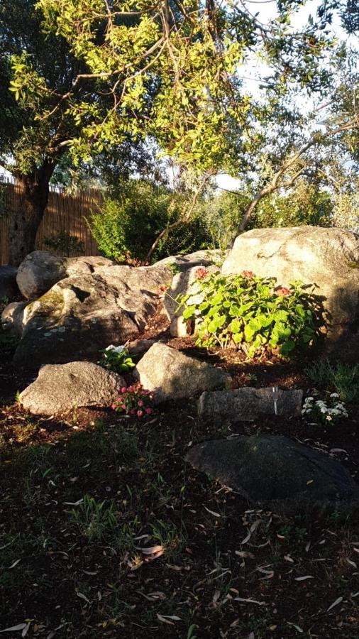 Casa Vacanze Olbia - Alebea - Zewnętrze zdjęcie