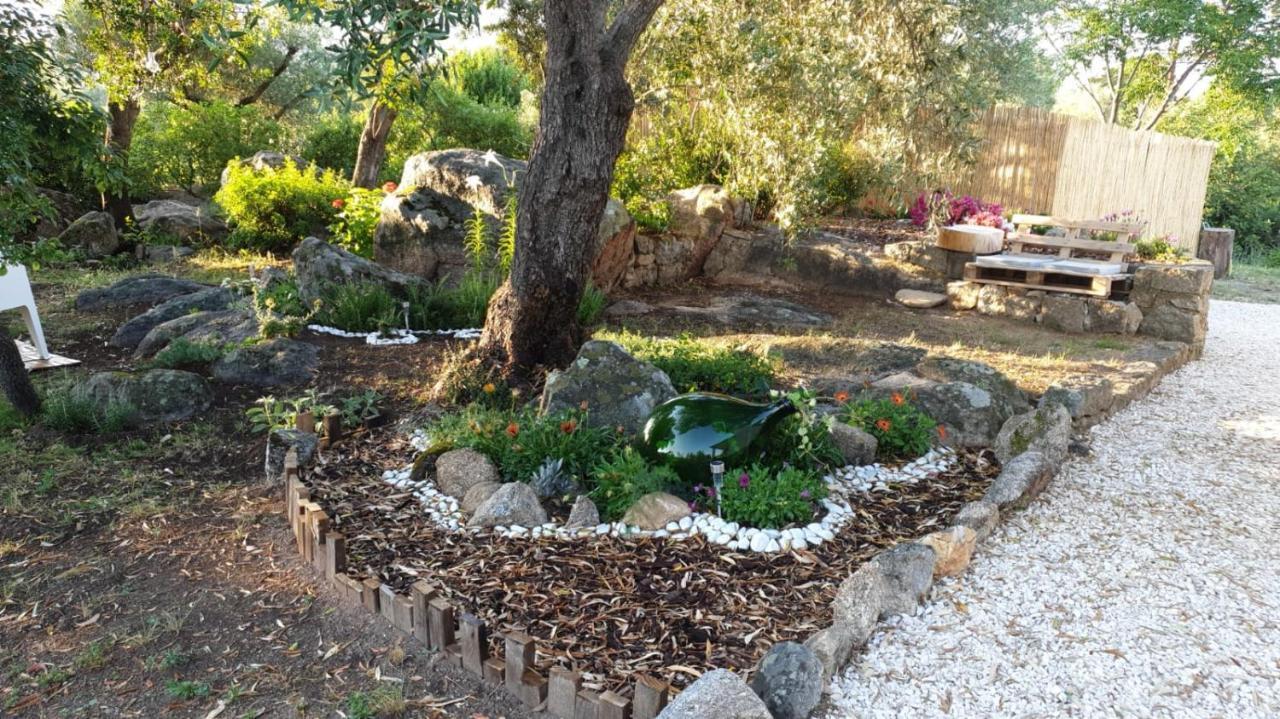 Casa Vacanze Olbia - Alebea - Zewnętrze zdjęcie