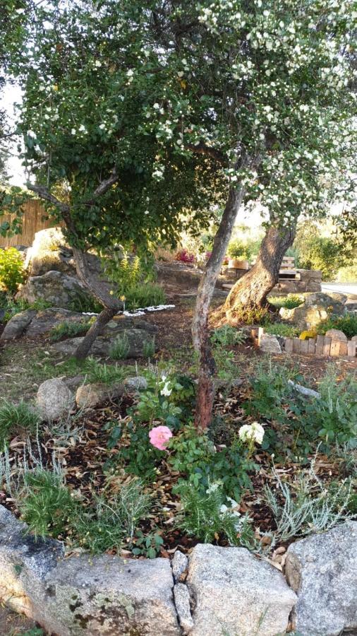 Casa Vacanze Olbia - Alebea - Zewnętrze zdjęcie
