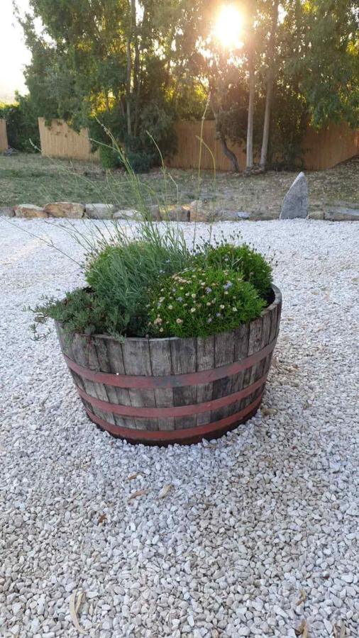 Casa Vacanze Olbia - Alebea - Zewnętrze zdjęcie